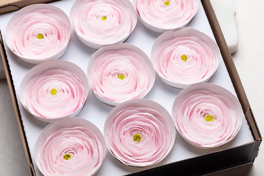 Pink Ranunculus Preserved Flowers, Wedding Decor, Home Decor, - Etsy