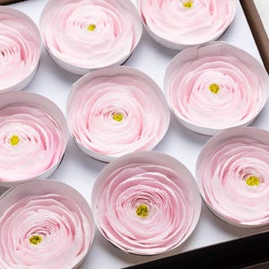Fiori rosa di ranuncolo conservati, decorazioni per matrimoni, decorazioni per la casa,