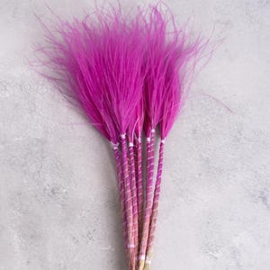 May include: A bunch of bright magenta decorative grass. The grass has long, feathery plumes and is tied together with a white and pink wrapped stem. The stems are a natural beige colour at the base. The background is a light grey.