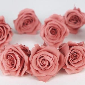 Puede incluir: Un conjunto de rosas de color rosa empolvado, dispuestas sobre una superficie blanca. Las rosas están en plena floración, con múltiples pétalos visibles. La imagen muestra la delicada belleza de las flores, ideales para arreglos florales o manualidades.
