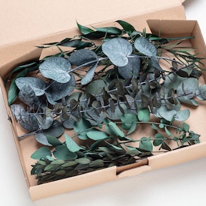 Eucalyptus preserved set, DIY flower arrangement, wedding anniversary decoration, 100% biodegradable natural, Cinerea, Stabilized stems