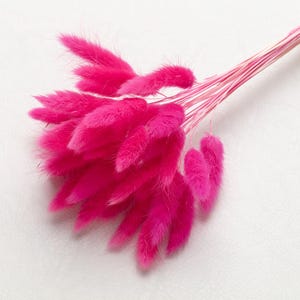 Bunny Tails, pink magenta color, Dried Lagurus, Dried Gras Rabbit Tails Decor, Bouquet, Natural Fluff, Gift, Home Decor, Dried Flowers, Boho