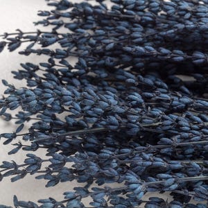 Preserved Lavender, dark blue color, wedding flowers, home decor, Lavandin, dried flowers, preserved lavander, Lavandula Getrocknet,