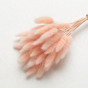 Bunny Tails, pastel color, Dried Lagurus, Dried Grass, Rabbit Tails, Decor, Bouquet, Natural Fluff, Gift, Home Decor, Dried Flowers, Boho