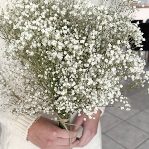 Baby breath, white preserved gypsophila, natural baby&#39;s breath, baby breath, baby breath, dry wedding bouquet.