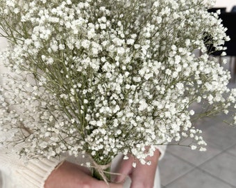 Baby breath, white preserved gypsophila, natural baby's breath, baby breath, baby breath, dry wedding bouquet.