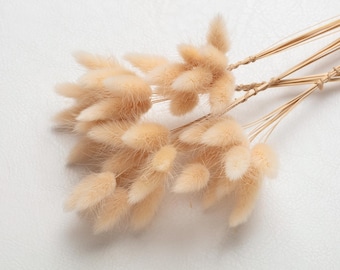 SLFYEE 120PCS Erba della Pampas Fiori Secchi Coda di Coniglio Rosa Pampas Fiori Secchi Naturali Erba Coda di Coniglio Essiccati per Decorazioni Casa Tavola Matrimonio Vaso Feste