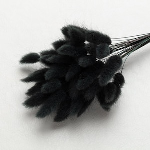 Bunny Tails,  black color, Dried Lagurus, Dried Grass, Rabbit Tails, Decor, Bouquet, Natural Fluff, Gift, Home Decor, Dried Flowers, Boho
