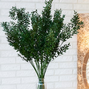 Preserved Ruscus, ruscus Bunch, green, Home Decor, Boho Wedding Decoration, Room Decor Hotel, decoration Party Dried Flower, Bouquets