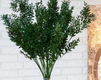 Op de afbeelding: Een bos groene, bladerrijke stelen in een heldere glazen vaas op een houten tafel. De stelen zijn gerangschikt in een vaas met een brede opening en een smalle hals. De vaas staat op een houten tafel met een lichtbruine afwerking.