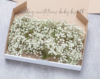 Babyadem, witte geconserveerde gypsophila, 1 doos ministelen, natuurlijke gipskruid, babyadem, babyadem, droog bruidsboeket