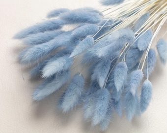 Lagurus, Bunny Tails, pastel blue color, Dried Lagurus, Dried Grass, Rabbit Tails Bunch, green Decor, flowers Bridal, Bouquet, Centerpiece,