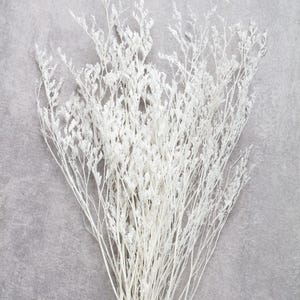 Peut inclure: Un bouquet de fleurs séchées blanches sur fond gris. Les tiges fines et les petites fleurs groupées créent une texture. L'arrangement est probablement utilisé pour la décoration intérieure ou l'artisanat.