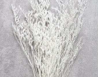 Könnte beinhalten: Ein Bund weißer Trockenblumen vor grauem Hintergrund. Die zarten Stiele und kleinen, geclusterten Blüten erzeugen ein strukturiertes Aussehen. Das Arrangement wird wahrscheinlich für die Heimdekoration oder das Basteln verwendet.