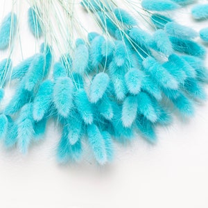 Dried lagurus, baby blue color, Dried Flowers DIY Mix Box, Flowers DIY Set, Grass,Phalaris, grass, Surprise ,