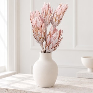 Könnte beinhalten: Eine matte, cremeweiße Keramikvase mit rundem Boden und engem Hals enthält vier getrocknete, hellrosa Protea-Blüten. Die Blüten haben geschichtete, spitze Blätter mit dezenten goldfarbenen Rändern, die vertikal in einer schlichten Anordnung stehen.