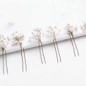 May include: Six gold hair pins with white baby's breath flowers attached.