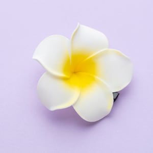Hawaiian Plumeria hairpins, Frangipani, Hair Clips, Mini Blings Pins, Lily Flower, Plumeria Hawai, Flower bridal hair clips for women,