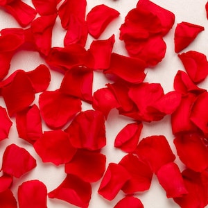petali di rosa rossa conservati, petali di rosa, eco-friendly, coriandoli di petali di rosa, coriandoli naturali per matrimoni,