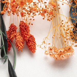May include: Close-up of dried orange and yellow flowers and foliage against a white background. The arrangement includes spiky orange blooms, delicate yellow clusters, and green and blue-green leaves, creating a natural, textured display.