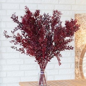 Red Preserved Ruscus, Bunch, Home Decor, Boho Wedding Decoration, Room Decor Hotel, decoration Party Dried Flower, Bouquets