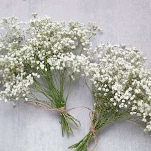 Baby breath, white preserved gypsophila, 15 real stems, natural baby's breath, baby breath, baby breath, dry wedding bouquet.