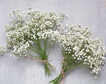 Respiro del bambino, gypsophila bianca conservata, 15 steli veri, respiro del bambino naturale, respiro del bambino, respiro del bambino, bouquet da sposa secco.