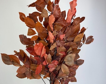 Beech tree preserved, big bunch, autumn flower arrangement, large bouquet, wedding anniversary decoration, biodegradable natural,