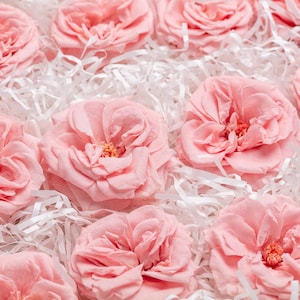 Könnte beinhalten: Nahaufnahme einer Schachtel gefüllt mit rosa Rosen, umgeben von weißem zerknülltem Papier. Die Rosen sind in einem Kreis angeordnet, wobei die Blütenblätter nach außen zeigen.