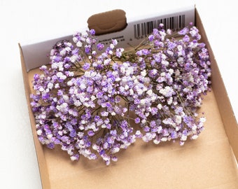 Baby breath for wedding favors, lilac color reserved gypsophila, 1 box stems, natural baby's breath, baby breath, dry wedding flowers