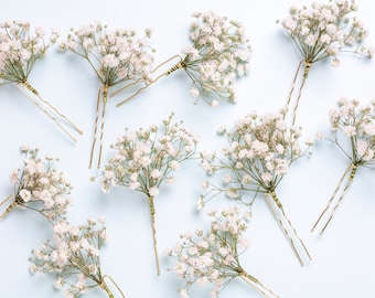 wedding baby breath hair pins, 5 hair clips, Gypsophila hair pin, white bridal hair pin, preserved flowers, weddings, rustic hair pin,