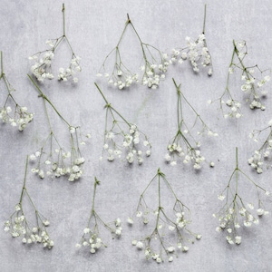 Gypsophile, gypsophile stabilisé blanc, 1 boîte de mini tiges, Gypsophile naturel, Gypsophile, Gypsophile, Bouquet de mariage sec image 6