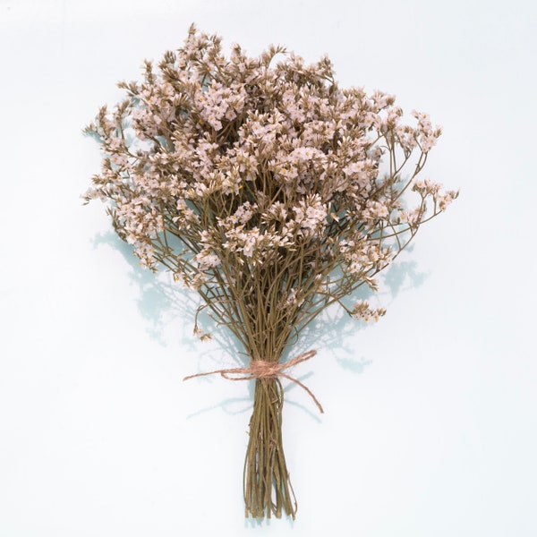 Limonium Sinensis white, dried flowers, 10 real stems, natural Limonium, dry wedding bouquet.