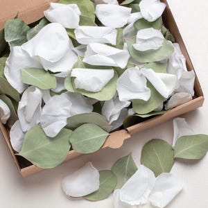 coriandoli di fiori di eucalipto con petali di rosa bianca, 100% biodegradabile, decorazione naturale da tavola, decorazione di eucalipto, eucalipto, verde,