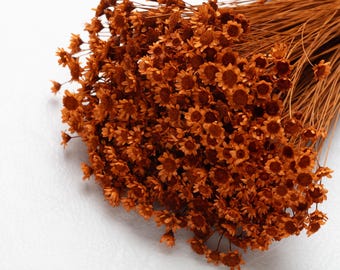 Puede incluir: Un ramo de flores secas, pequeñas, parecidas a margaritas, en tonos marrón y naranja. Las flores tienen un aspecto delicado y están agrupadas, con tallos largos y finos. Ideal para arreglos florales y manualidades.