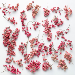 Pepparträd, stjälkar av rosa pepparbär, torkade blommor, torkade bär, torkade höstbär för harts, konsthantverk, smycken, epoxi, ljus