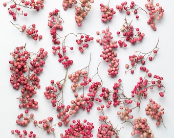 Poivrier, baies de poivre rose, fleurs séchées, Baies séchées, Baies d'automne séchées pour résine, Artisanat d'art, Bijoux, Époxy, Bougie