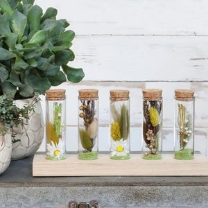 Wooden Propagation Station, tube tester vase, Glass Test Tube Plant Holder, Minimalist Hydroponic Planter, Modern Propagation Vase,