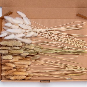 Dried lagurus, beige, white, nature, Dried Flowers DIY Mix Box, Flowers DIY Set, Grass,Phalaris, grass, Surprise Box, confetti,