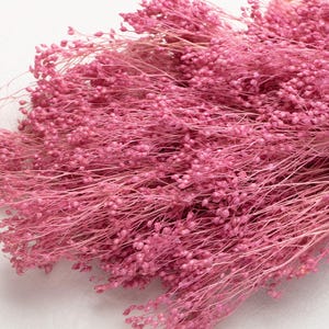 Preserved Broom Bloom, rustic pink, bunch, dried flowers, decoration home, gift woman, wedding, Valentine&#39;s Day, Mother&#39;s Day,