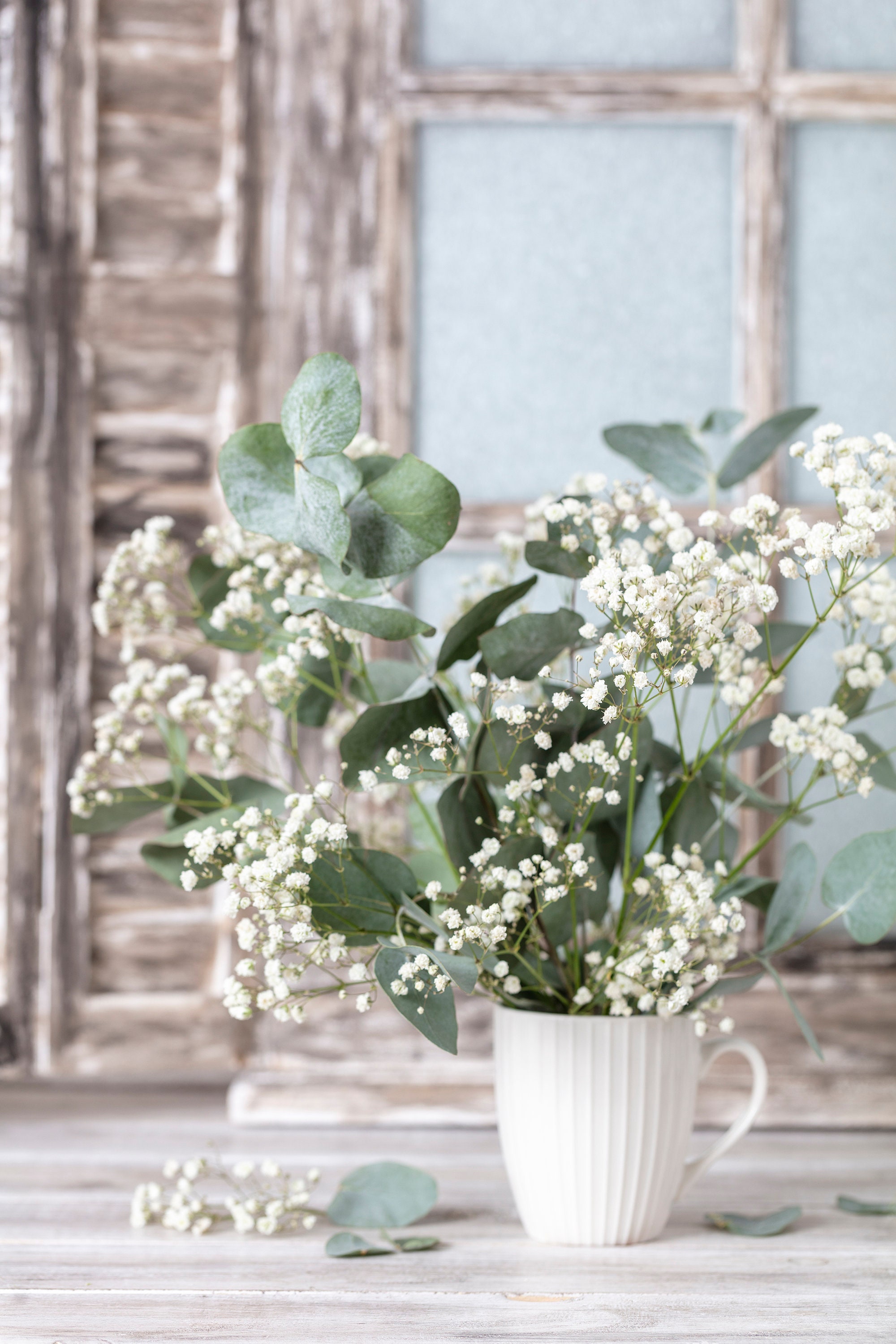 Schleierkraut Getrocknet - 12 Stück Trockenblumen 8-15cm Für Deko & Basteln