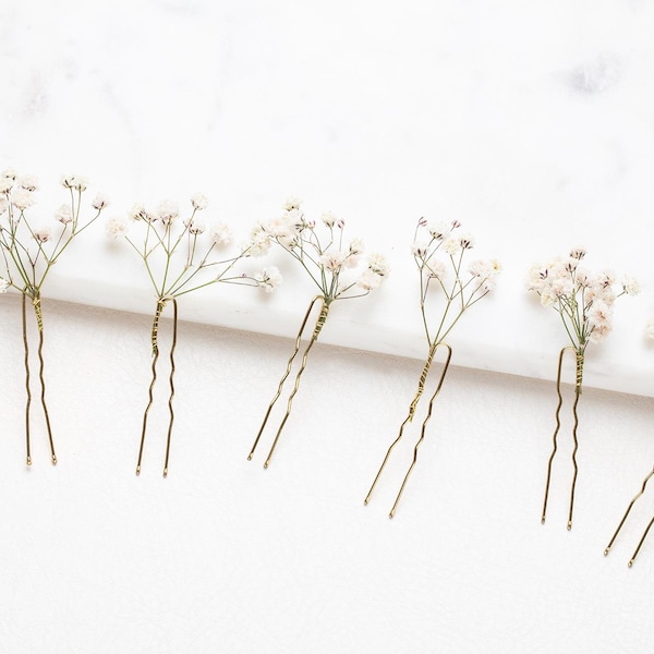 Weiß erhaltene Schleierkraut Haarnadeln, Hochzeit Haarspangen, Schleierkraut Haarnadel, Braut Haarnadel, konservierte Blumen, 6er Set
