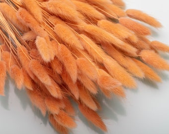 Gedroogde Lagurus, Bunny Tails, Natuurlijk Gedroogd Lagurus gras, bruiloftsbloemen, Terracotta, Paascadeau, Gedroogde Bloemen, Taart Decoratie,