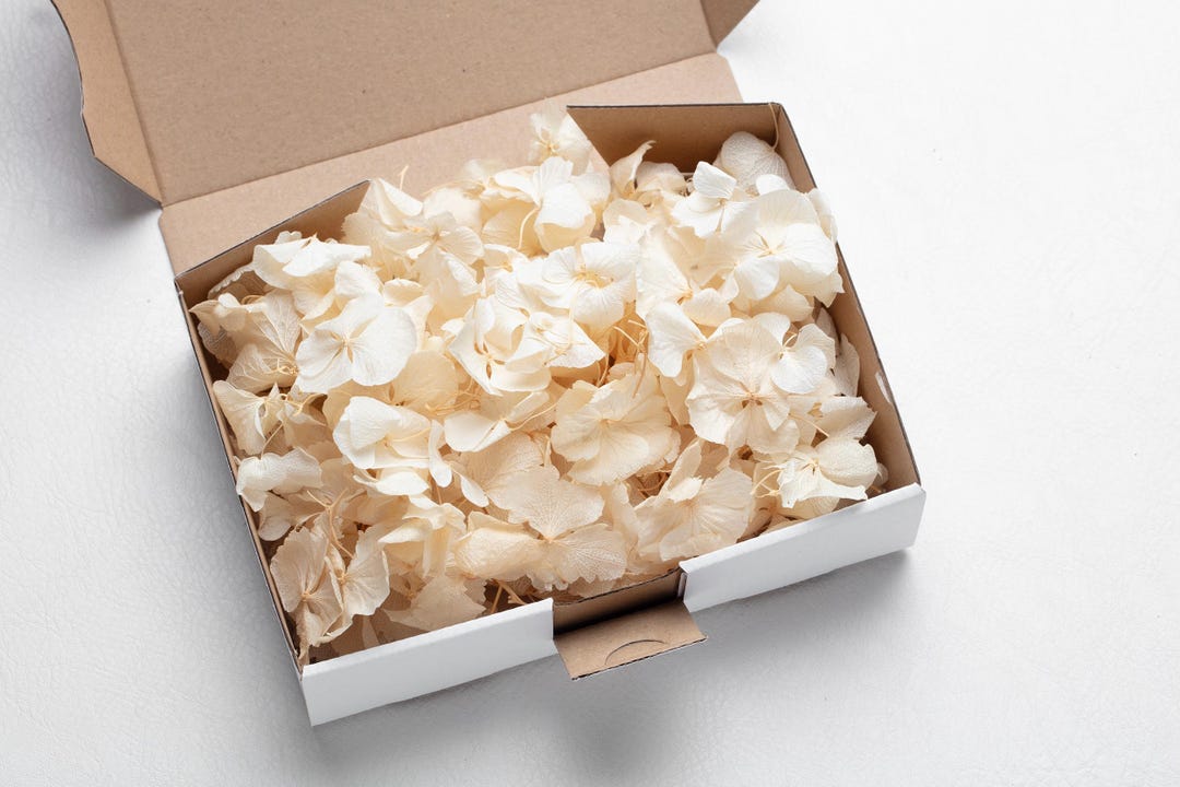 Beige Color Dried Hydrangea Confetti, 100% Biodegradable, Natural Table ...