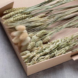 Dried Flowers, flower DIY Mix, DIY set, Flower Box, wedding DIY, dried flower bouquet, pampas grass, lagurus, phalaris, Creative Projects,