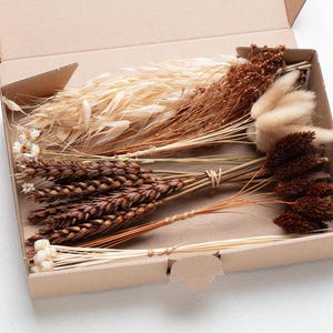 Fleurs séchées, mélange de fleurs à faire soi-même, ensemble de bricolage, boîte à fleurs, bricolage de mariage, bouquet de fleurs séchées, herbe des pampas, lagurus, phalaris, projets créatifs,