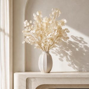 May include: A bouquet of dried, translucent, off-white lunaria stems arranged in a matte, cream-coloured ceramic vase with a vertically ribbed, oval-shaped body. The delicate, paper-like seed pods create a full, airy display of light and shadow.