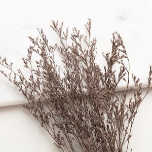 Peut inclure: Gros plan sur des fleurs séchées brunes avec des tiges délicates et de minuscules bourgeons. Les fleurs sont disposées sur une surface en marbre blanc, créant une esthétique naturelle et minimaliste. Idéal pour la décoration intérieure ou les projets d'artisanat.