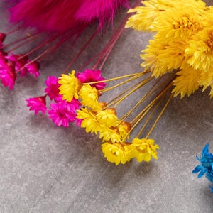 以下が含まれることがあります： 細い茎に鮮やかな黄色、明るいピンク、深い青色の花をつけたドライフラワーのコレクション。このアレンジメントには、小さな星型の黄色い花、フクシアピンクの花、そして細い茎を持つ青い花の房が含まれています。
