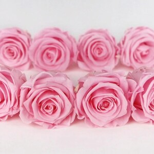 Peut inclure: Huit roses rose clair disposées sur un fond blanc. Les roses sont en pleine floraison, avec de multiples couches de pétales délicats. L'arrangement est symétrique, avec quatre roses en haut et quatre en bas.